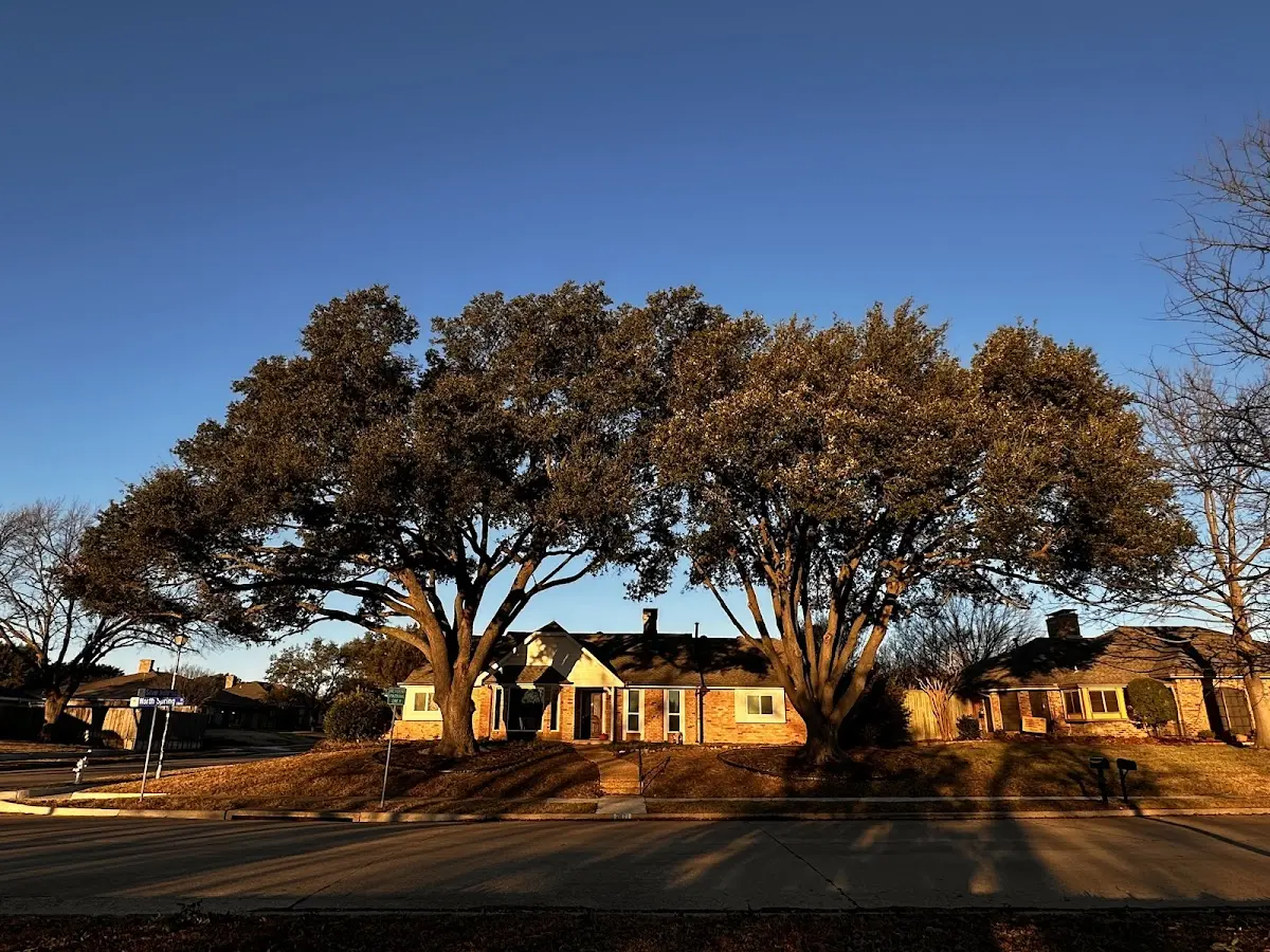 Established residential canopy tree shading a home in Alakanuk
